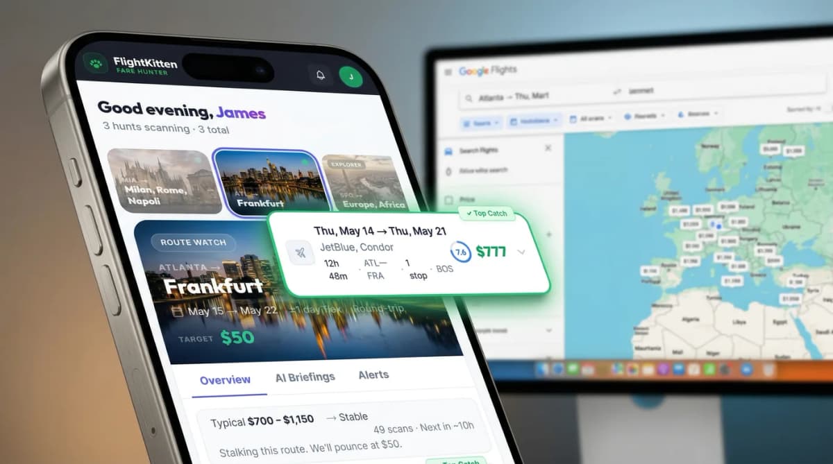 FlightKitten vs Google Flights: what's different